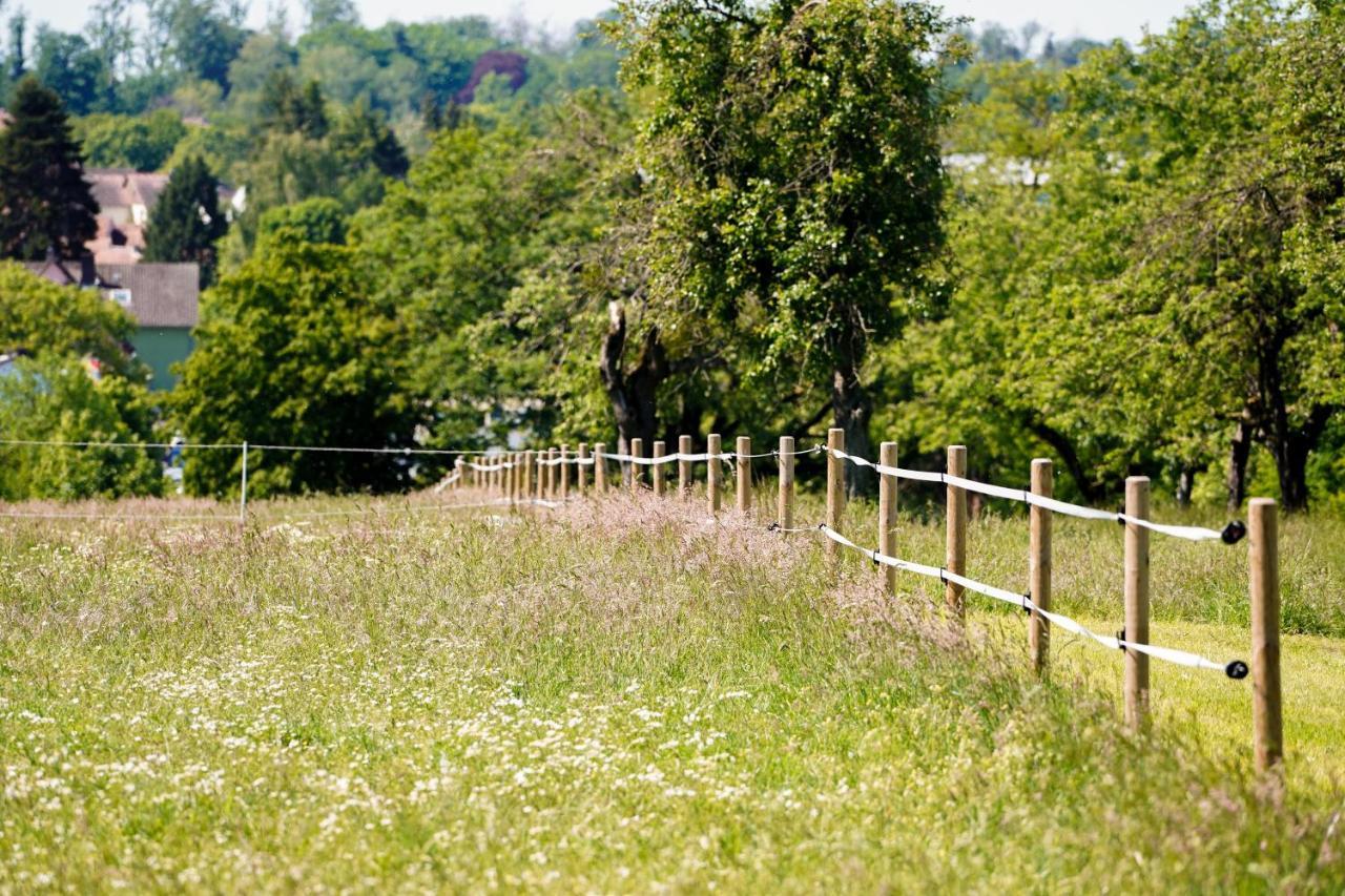 Fruehstueckspension Christinenhof Dreieich Exterior photo